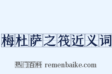 梅杜萨之筏近义词是什么意思的图片